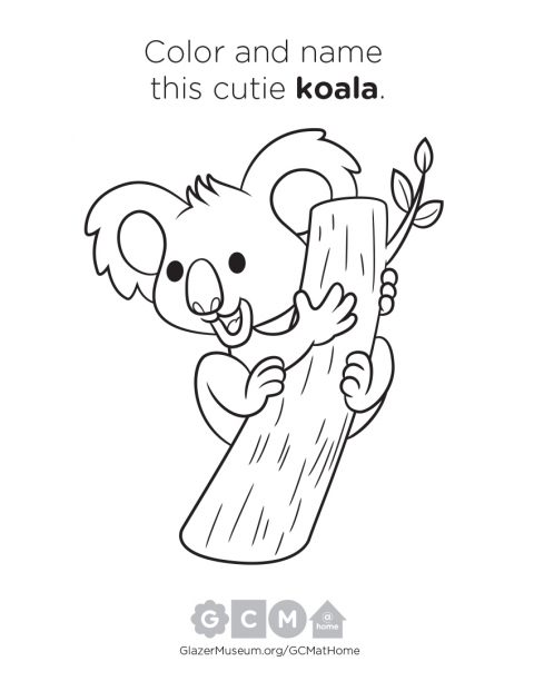 Koala Fun Facts & Activity Sheet | Glazer Children's Museum