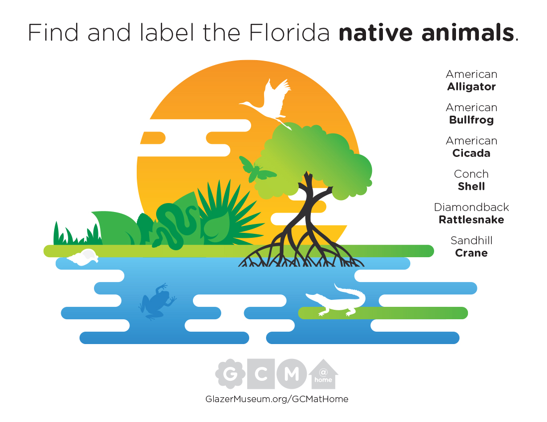 Explore The Mangroves And Native Animals Activity Sheet Glazer Children