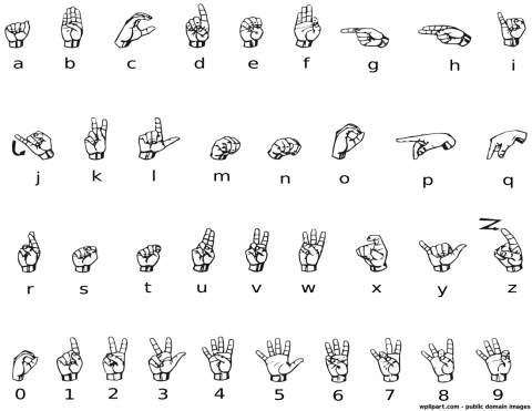 Sign Language ABCs | Glazer Children's Museum