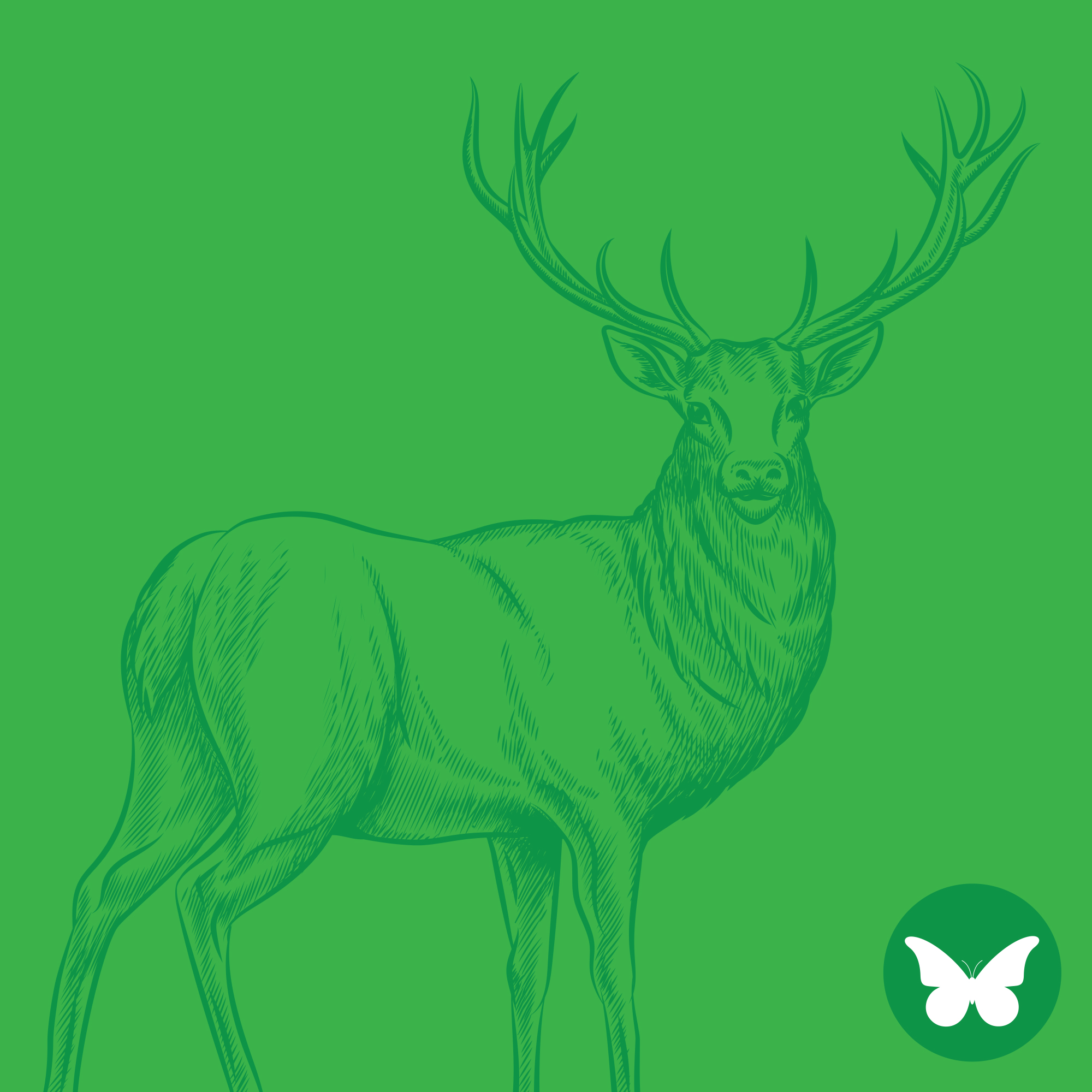 Profile illustration of a deer with a green background.